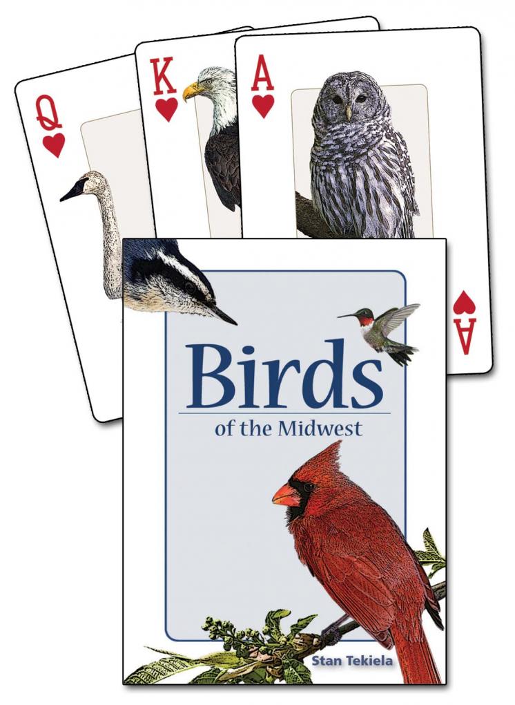 Birds of the Midwest Playing Cards